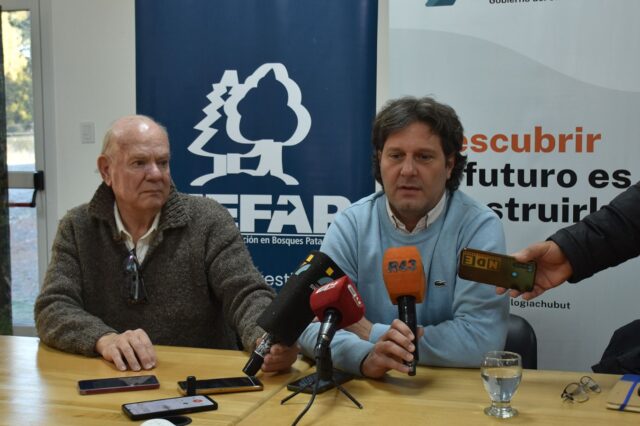 El CIEFAP y la FAO avanzan en la gestión sostenible de los bosques nativos en la Patagonia