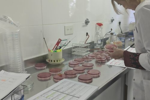 El Laboratorio Provincial de Salud Ambiental procesa más de 10.000 muestras al año