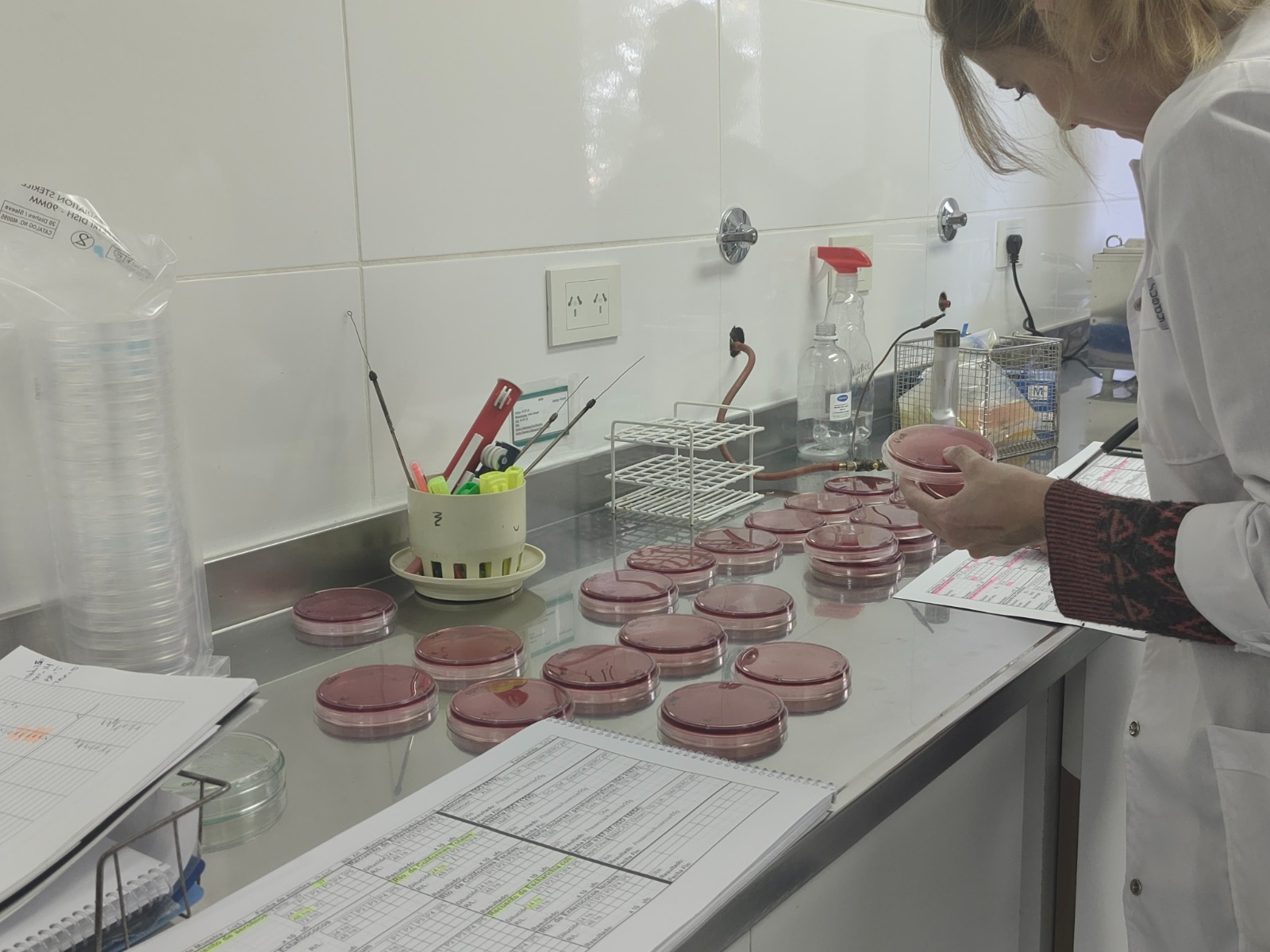 El Laboratorio Provincial de Salud Ambiental procesa más de 10.000 muestras al año