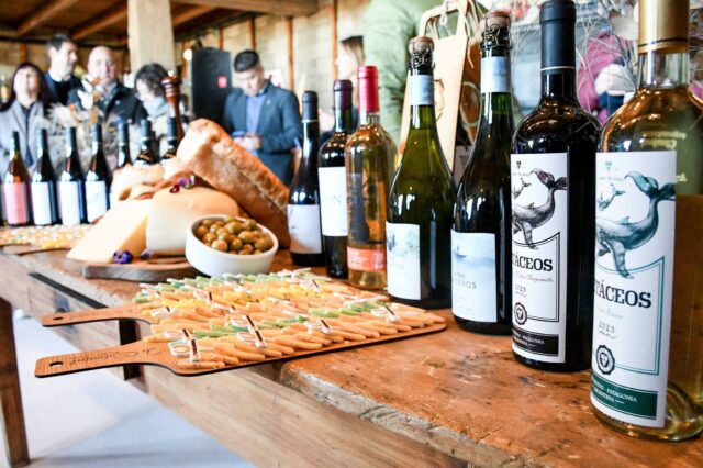 Puerto Madryn será sede del 2º Encuentro Provincial de Productores Vitivinícolas
