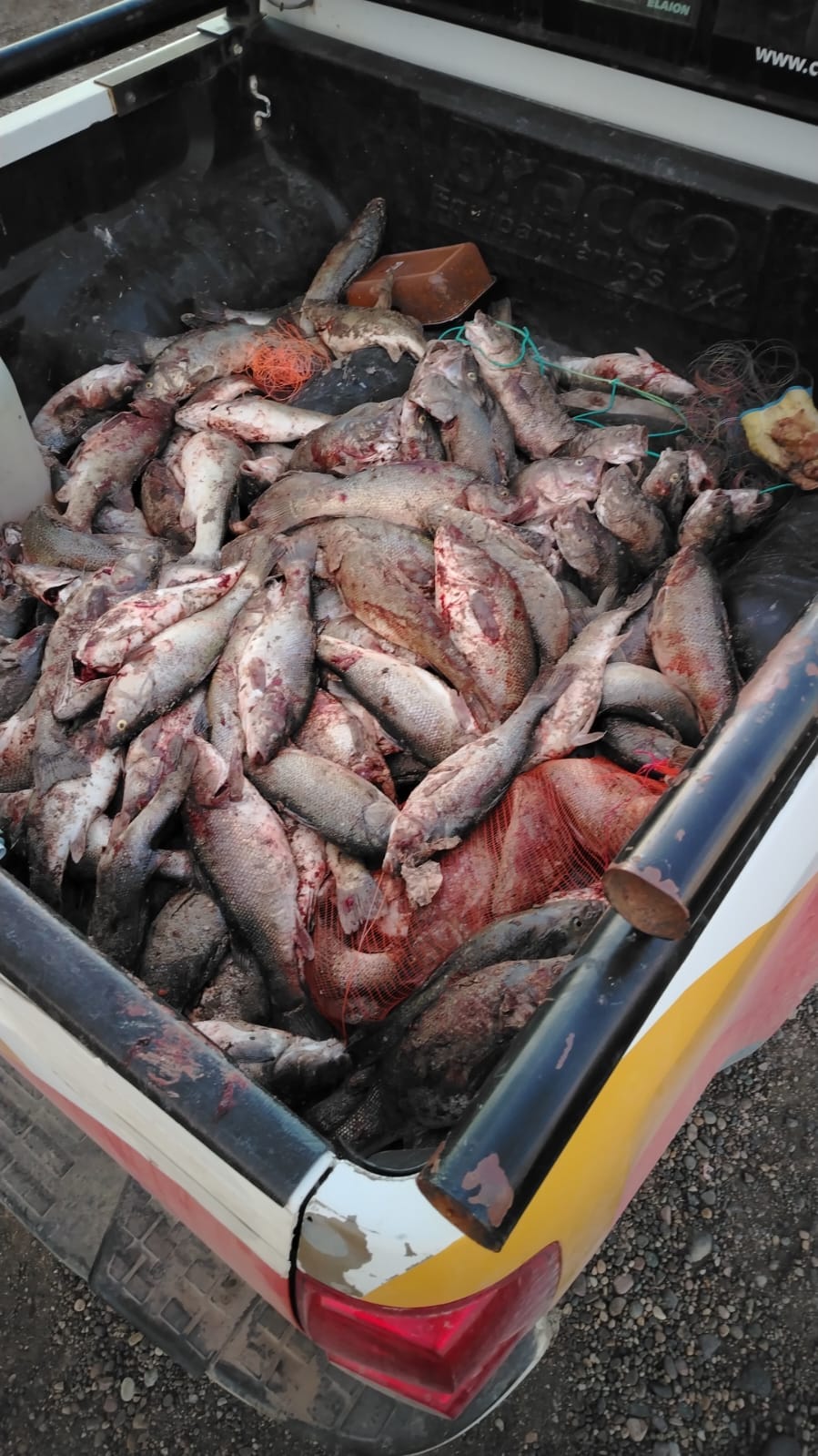 Refuerzan los controles de pesca para resguardar los ambientes acuáticos