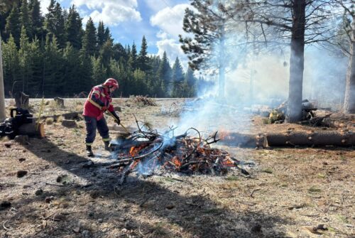 Chubut impulsa trabajos preventivos contra incendios forestales en diez localidades
