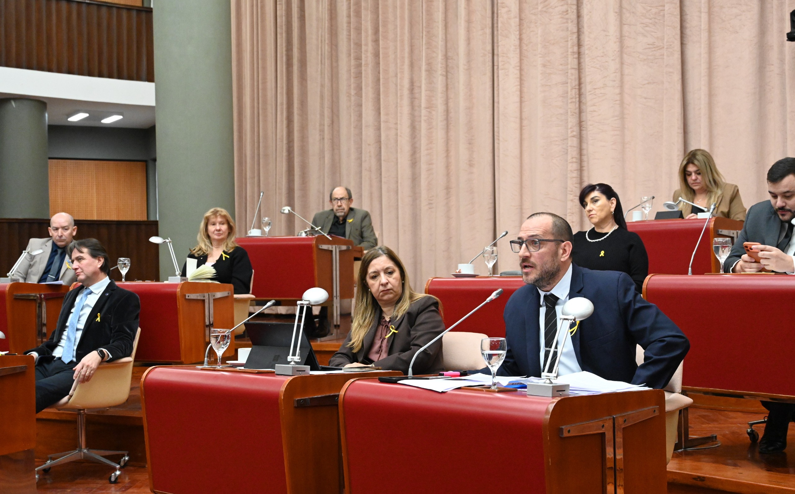 La Legislatura aprobó prórroga a exenciones impositivas para productores ganaderos