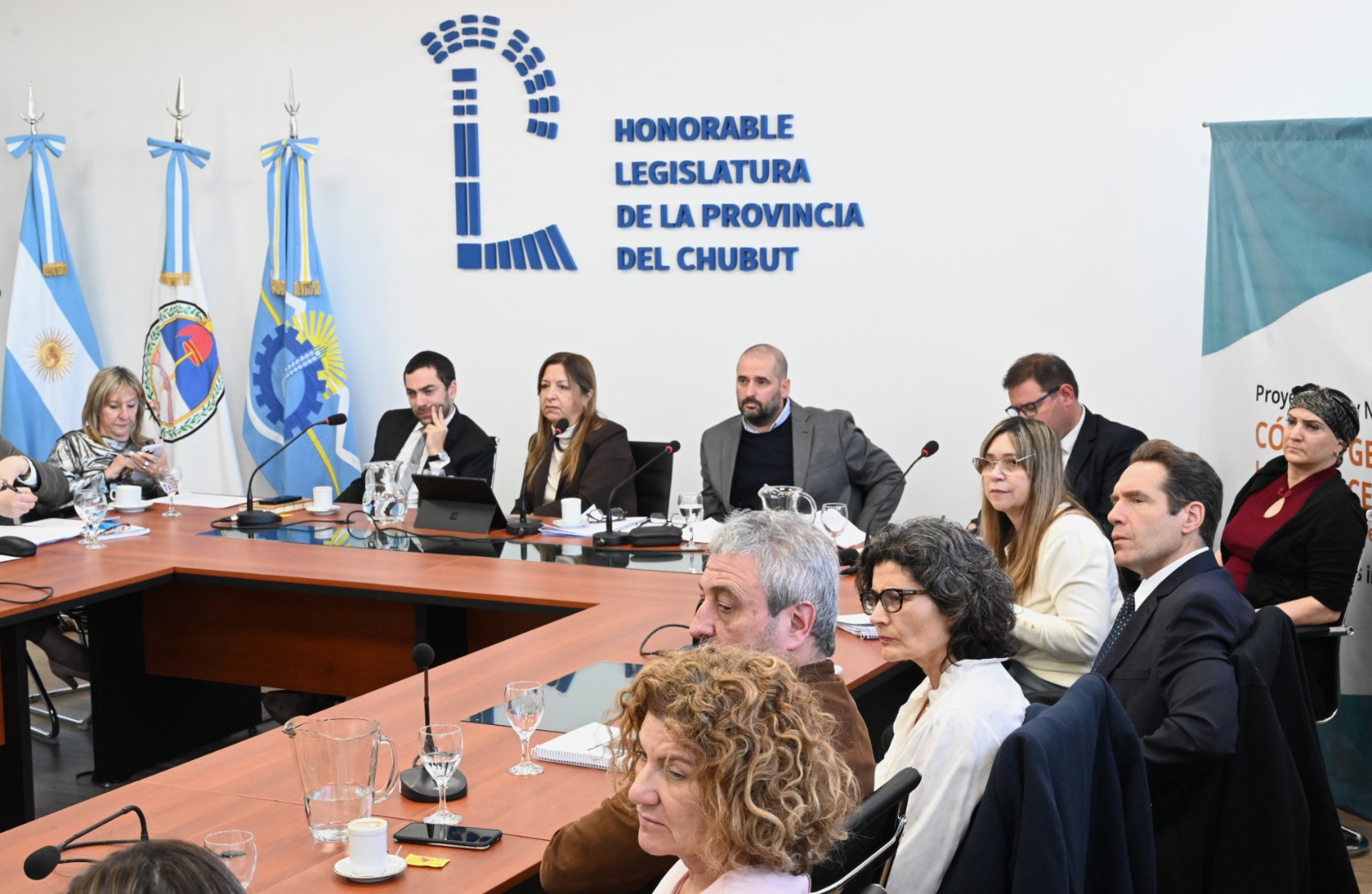 Legislatura: avanza el debate sobre el nuevo Código de Procesos No Penales