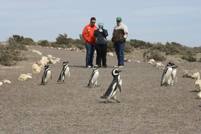 Más de 24 mil turistas visitaron Chubut durante el fin de semana largo