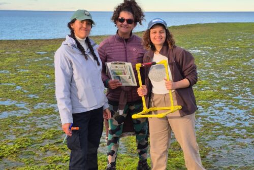 Estudiantes de la Universidad del Chubut comenzaron sus prácticas en Punta Loma y Punta Tombo