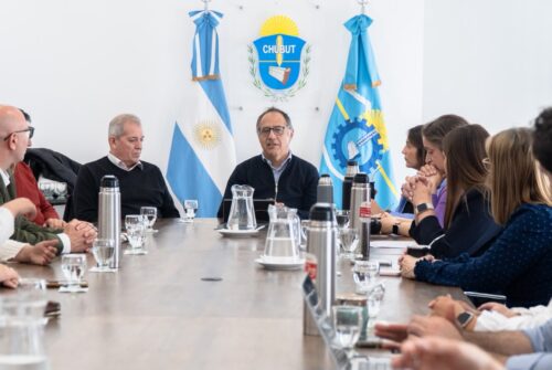 Chubut presentó herramientas digitales para facilitar el acceso a servicios para personas con discapacidad